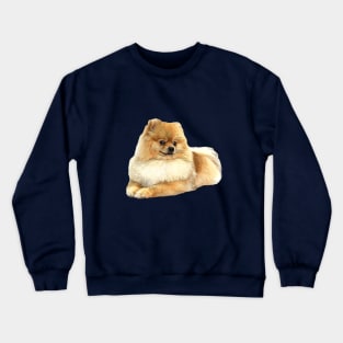 Pomeranian Puppy Dog Crewneck Sweatshirt